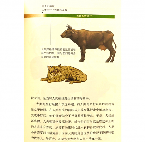 狗狗资源局狗狗资源，探索与利用的无限可能-第1张图片