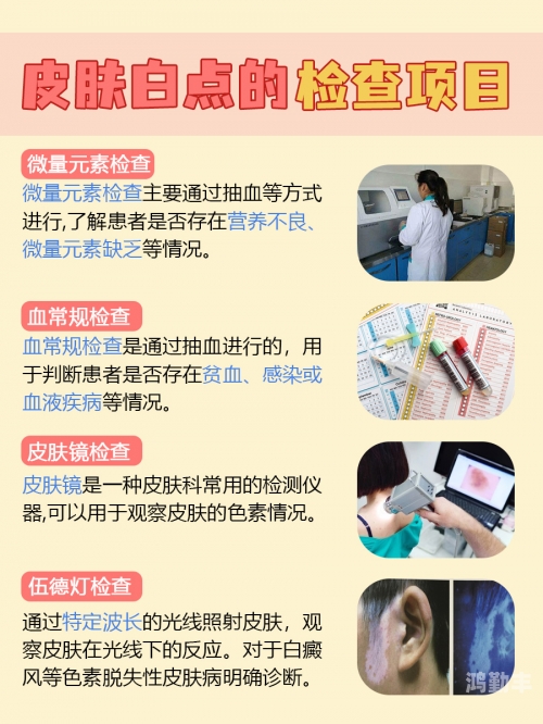 西西人体必不可少的多少种微量元素之一探索西西人体奥秘，深度解析44关键词-第1张图片