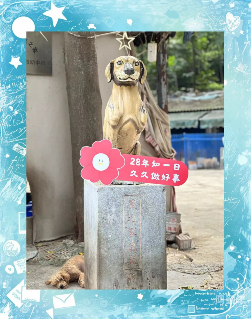 人与狗zOz人与狗的深厚情谊，以ZOZ0为例-第1张图片