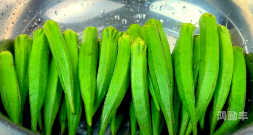 探索水果与蔬菜的魅力世界，香蕉、丝瓜、草莓、秋葵、小猪芭乐与茄子的在线观察之旅-第1张图片