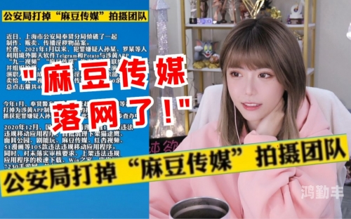 md传媒视频在线观探索MD传媒视频的官方入口-第1张图片