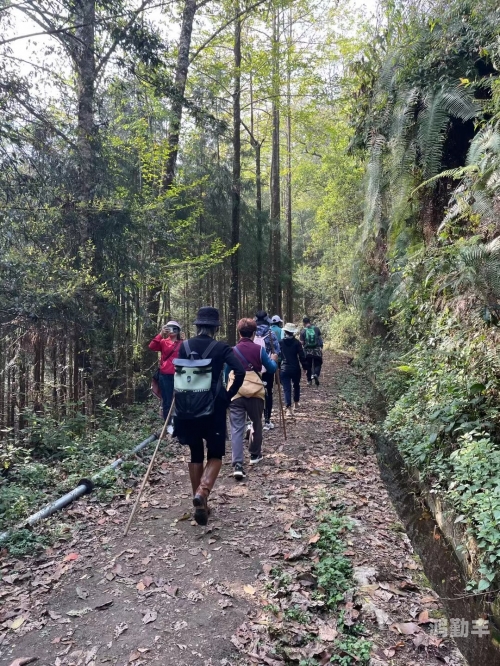忘忧草与WYC在线，心灵的疗愈之旅-第2张图片