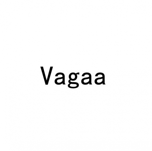 vagaa用什么播放器Vagaa资源中如何选择合适的播放器-第3张图片