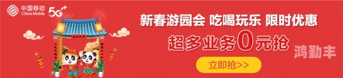 W文过程长图详解
