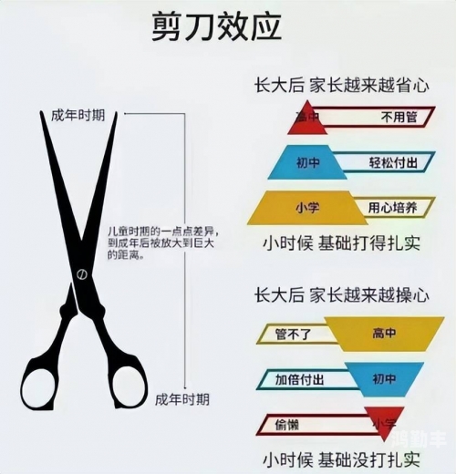 以尊重为底色，拒绝粗俗之语——论把腿张开老子臊烂你的危害与应对