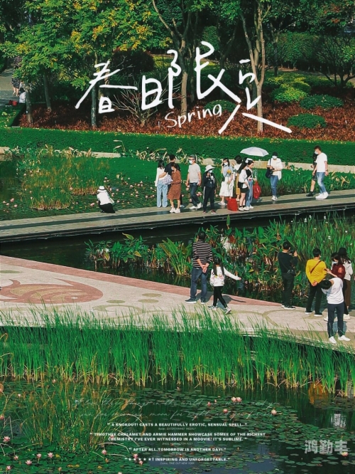 GOGO全球专业摄影艺术，探索摄影的无限魅力-第1张图片