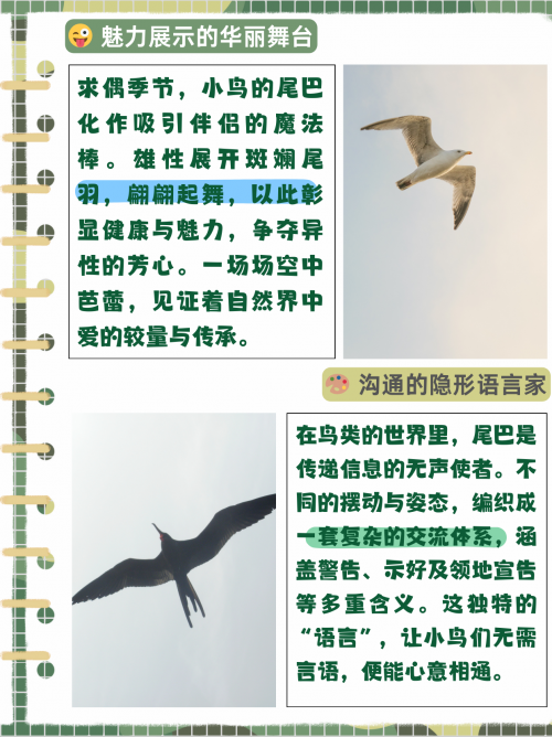 多了一个，生活中的微妙变化-第1张图片