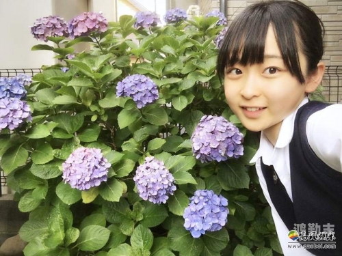 野花社区WWW韩国日本野花社区中韩国与日本的文化交流与探索