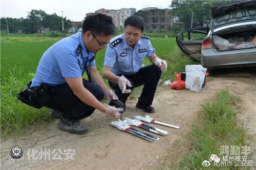 奶牛镇余万富行程表奶牛镇余万富的充实行程表