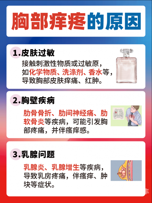 女性乳房的刺激与性高潮的探索