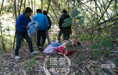 缅北14may18_XXXXXL56endian在线观看缅北14may18事件与XXXXXL56endian的深度解析-第3张图片