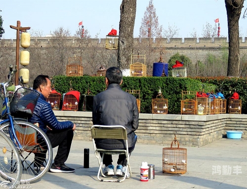 人乱AN乱Alv老人乱电影在线观看老人乱与家庭和谐，如何正确面对与处理-第1张图片