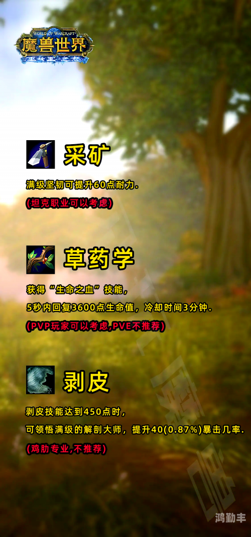 魔兽世界专业技能魔兽世界，专业技能的魅力与影响
