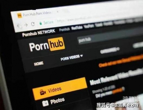 谁有成人网站地址关于成人网站地址的探讨-第1张图片
