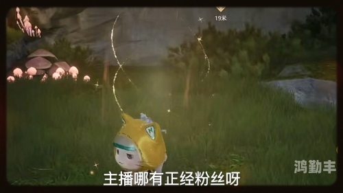 暖暖视频在线视频观看视频暖暖视频，在线观看视频的温暖体验