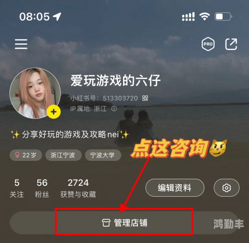 全民打怪兽刷金币教程全民狂欢，打怪兽刷金币的乐趣与挑战