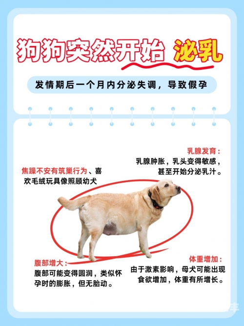 往灌牛奶频关于往下体灌牛奶的潜在影响与风险