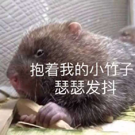 瑟瑟发抖的配图探索sesefa的奥秘