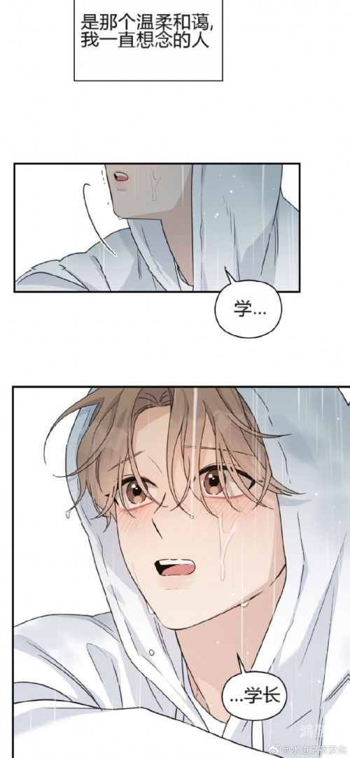 渴望:爱火难酎第17话渴望与爱火难酎——第43话的深度解读-第2张图片