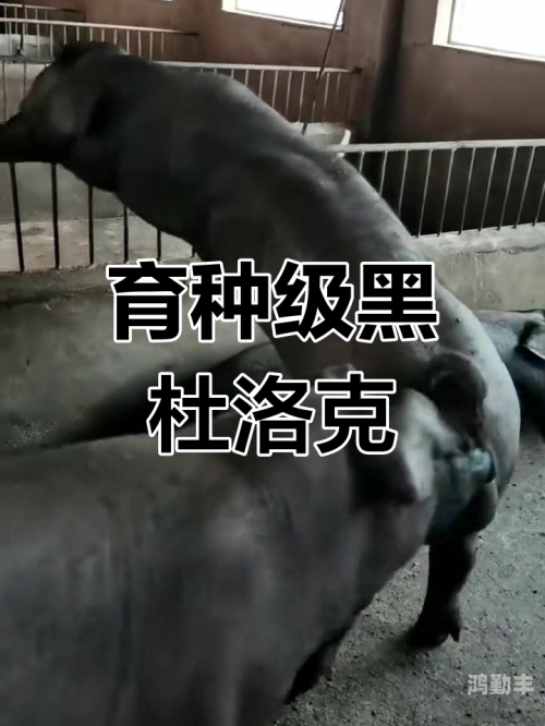 黑黑的粗粗的长长的是什么探索神秘之谜，黑黑的、粗粗的、长长的究竟是什么？