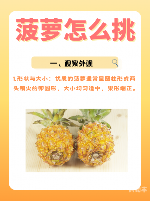 大菠萝福建官方网站入口导航——探索福建的独特魅力-第3张图片
