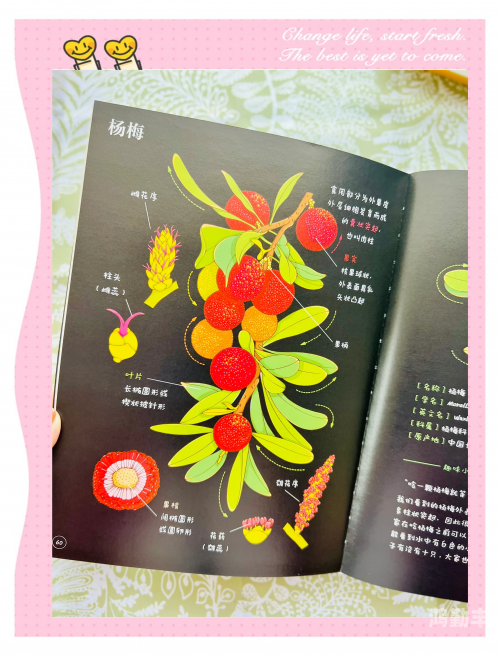 香蕉丝瓜草莓秋葵小猪芭乐茄子ios探索多彩的果蔬世界——以香蕉、丝瓜、草莓、秋葵、小猪芭乐、茄子与iOS的奇妙之旅-第1张图片