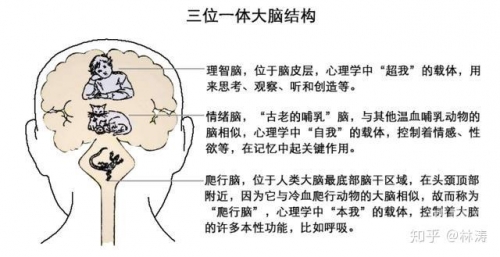 一体三交，揭秘哪三个地方的交汇融合-第3张图片