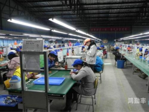 6月电子厂侧拍视频大全极品厕拍，一种独特的艺术探索与文化现象