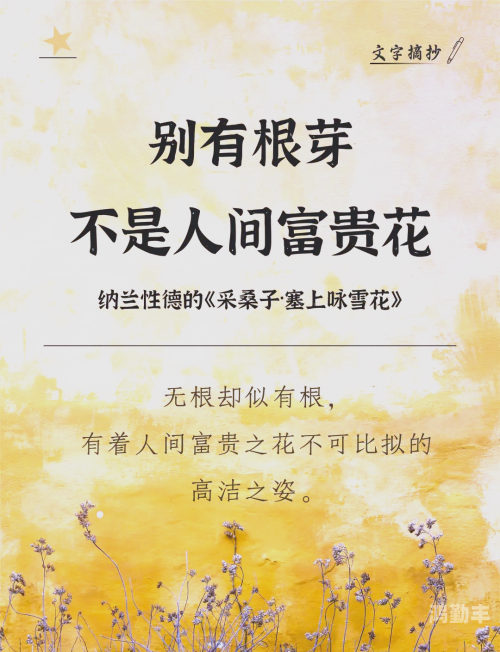 雪饼上白色的雪能吃吗雪饼上的白色之谜，雪的诗篇-第2张图片