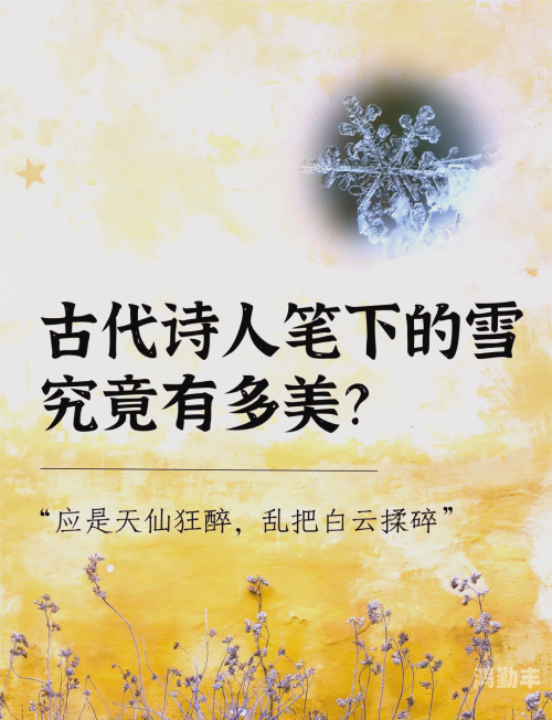 雪饼上白色的雪能吃吗雪饼上的白色之谜，雪的诗篇-第3张图片