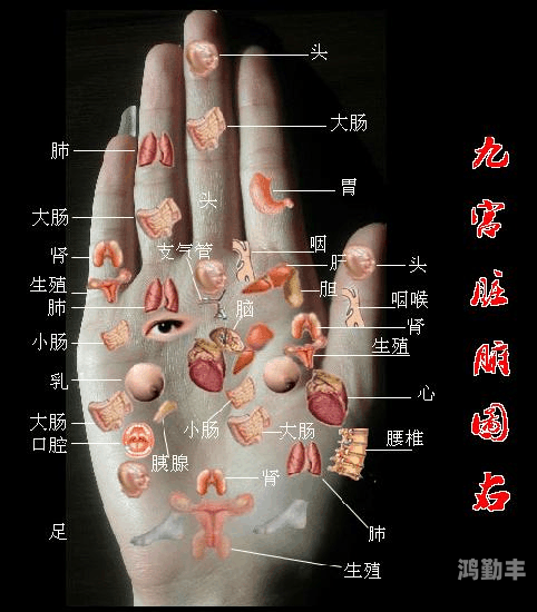 浅探才一根手指头就喊疼的深层含义-第2张图片