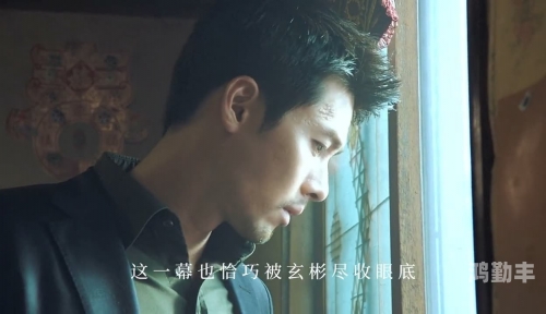 高清视频共享，双人世界尽收眼底——全免费体验指南