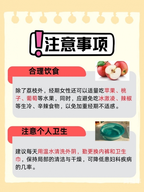 荔枝视频在线观看第63集荔枝视频，在线观看与在线播放的便捷体验