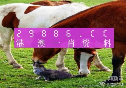 国精产品无人区一码二码三M探索国精产品，无人区一码二码三M的奥秘-第2张图片