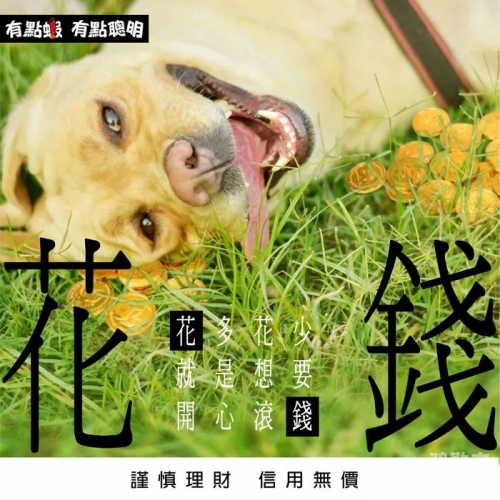 花花社区污花花社区的魅力与故事-第1张图片