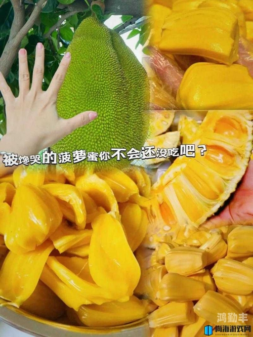 菠萝菠萝蜜免费高清视频菠萝菠萝蜜免费高清视频的探索与分享-第1张图片