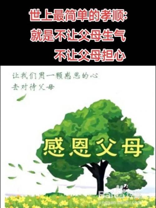 养育之恩，儿子成长与家庭责任-第1张图片