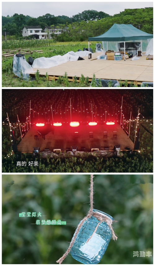 啵樂啵樂——探索音乐与生活的无限可能
