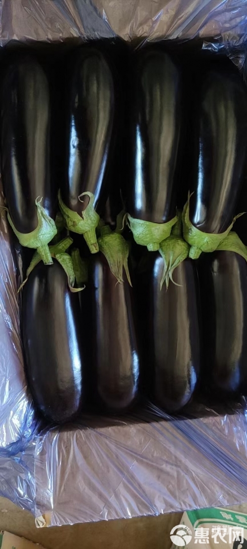 秋葵草莓茄子香蕉丝瓜榴莲污在线观看2024安卓版秋葵草莓茄子香蕉丝瓜榴莲——健康与娱乐的平衡探索