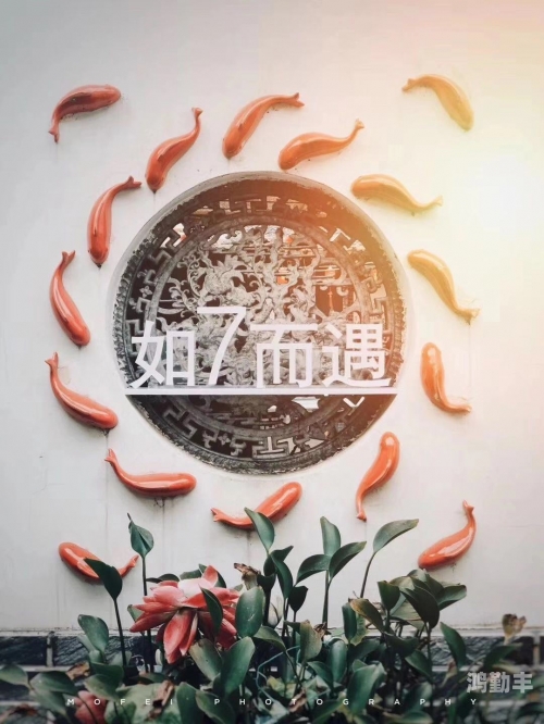 高清视频的探索之旅，又黄又湿的视觉体验-第3张图片