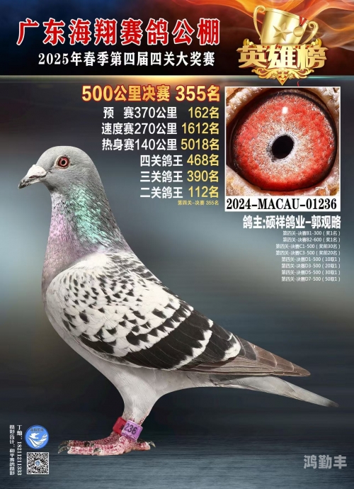 天南铜都赛鸽中心秋棚小棚天南铜都赛鸽中心秋棚小棚的魅力与故事