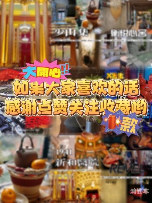 久久精品之选，探索23的魅力