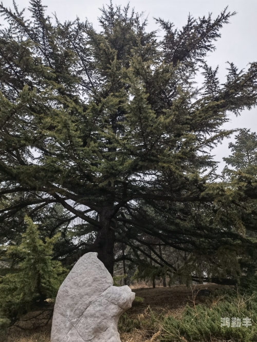 吧有你 春暖花开 人物介绍春暖花开，吧有你