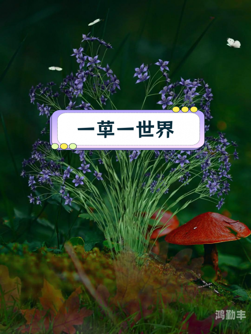 野花视频在线观看免费3 - 探索自然之美，尽享视觉盛宴-第2张图片