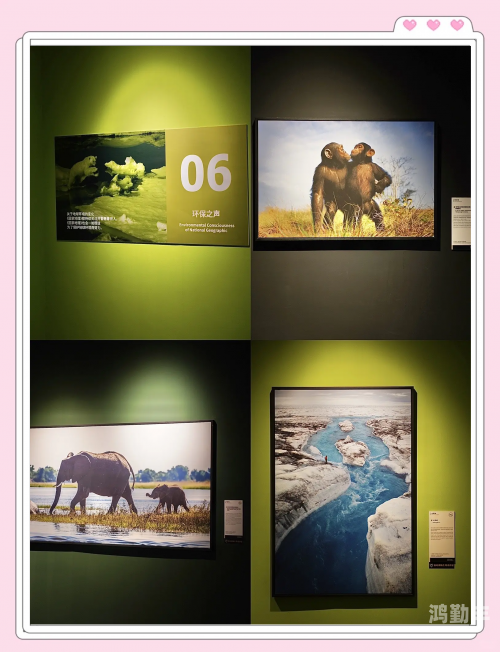 顶尖大展，人文艺术展览的璀璨盛宴——2023年人文艺术展概览-第3张图片