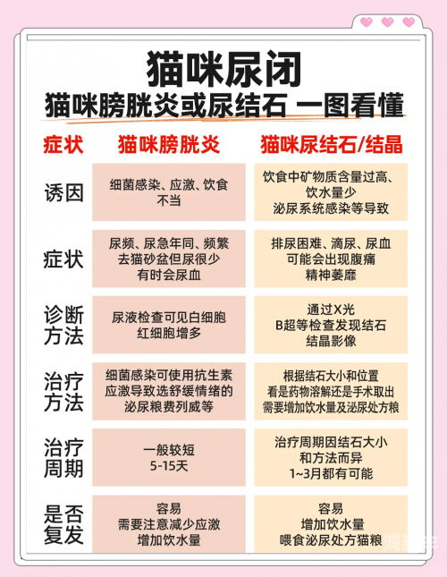 肚子里全是他的尿同学间的误解与尴尬——肚子里都是同学的尿-第2张图片