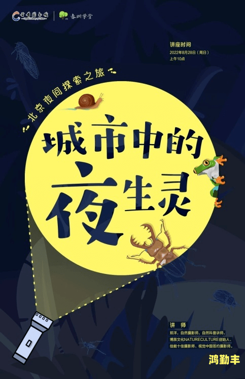 小蝌蚪视频APP，探索科技与娱乐的融合
