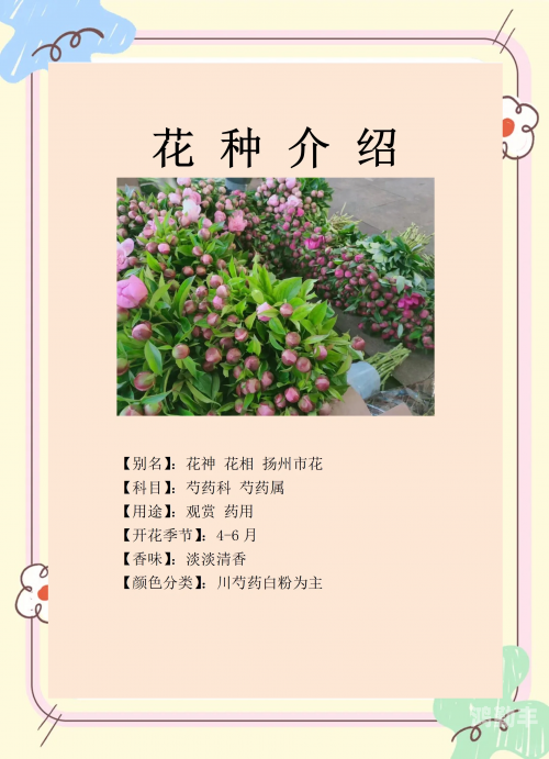五月之花，婷婷绽放的久久草-第2张图片