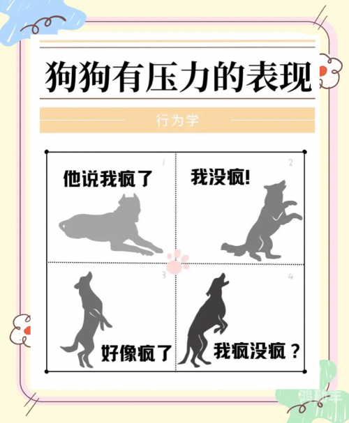 面对狗的东西比男朋友还大，我们该如何应对？-第3张图片