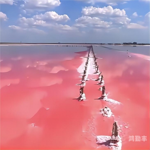 探索视色之美